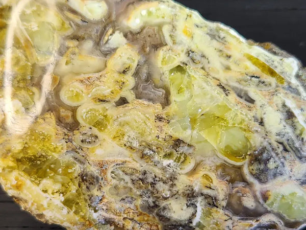 ROCK CLUB MEMBERSHIP -- Every 3 Months Receive a Shipment  of Unique Specimens! SUPERB PIECES - Fossils, Agates, Azurite, Opal, Silver Ore, and MUCH MORE