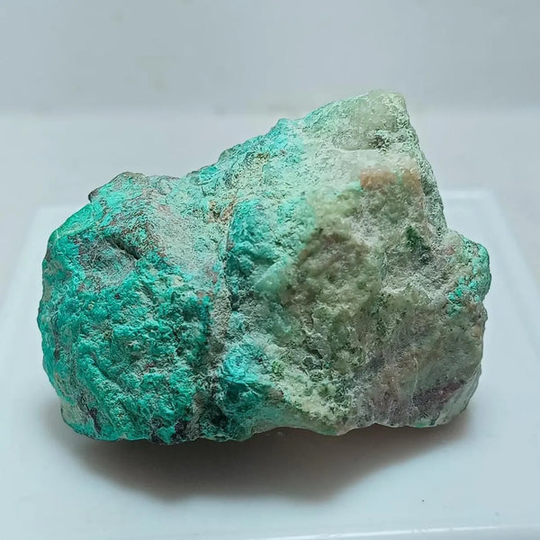 ROCK CLUB MEMBERSHIP -- Every 3 Months Receive a Shipment  of Unique Specimens! SUPERB PIECES - Fossils, Agates, Azurite, Opal, Silver Ore, and MUCH MORE
