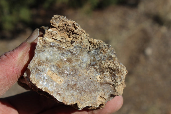 Fund Raiser - MINERAL - BEAUTIFUL - Rare Locality - ARIZONA OPAL - Stunning Specimen #8 - Keep A Piece Of Opal Near Your Bed and Experience Amazing Dreams and Healing!