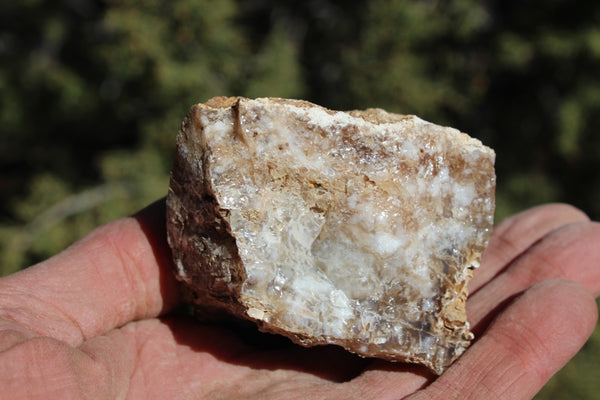 Fund Raiser - MINERAL - BEAUTIFUL - Rare Locality - ARIZONA OPAL - Stunning Specimen #10 - Keep A Piece Of Opal Near Your Bed and Experience Amazing Dreams and Healing!
