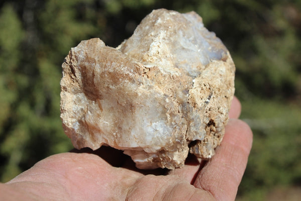 Fund Raiser - MINERAL - BEAUTIFUL - Rare Locality - ARIZONA OPAL - Stunning Specimen #7