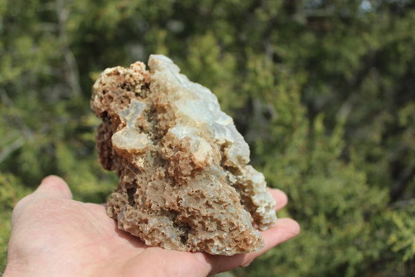 Fund Raiser - BEAUTIFUL - MINERAL - LUNA AGATE - Catron County, New Mexico -