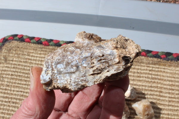 FUND RAISER - MINERAL - BEAUTIFUL - Rare - ARIZONA OPAL -Stunning Specimens LOT # 3 - 1 Pound - OPAL has Amazing Healing Properties!  Sleep with a Piece of Opal by Your Bed and Wake-up Renewed!