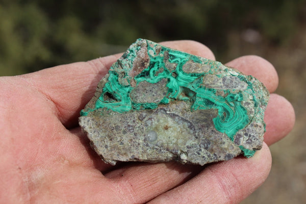 Fund Raiser - MINERAL Lovely MALACHITE Specimen From Santa Rita Mine, New Mexico