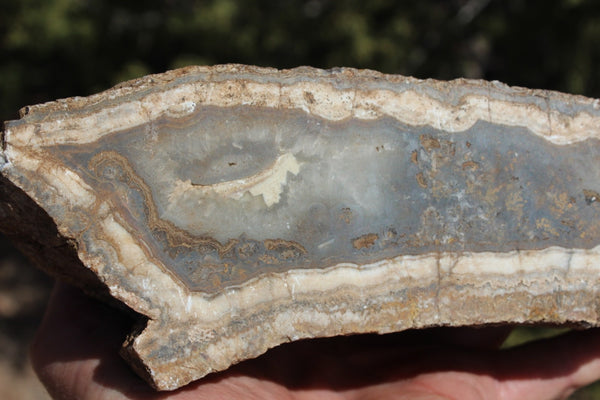 Fund Raiser - BEAUTIFUL - MINERAL - LUNA AGATE - Catron County, New Mexico -