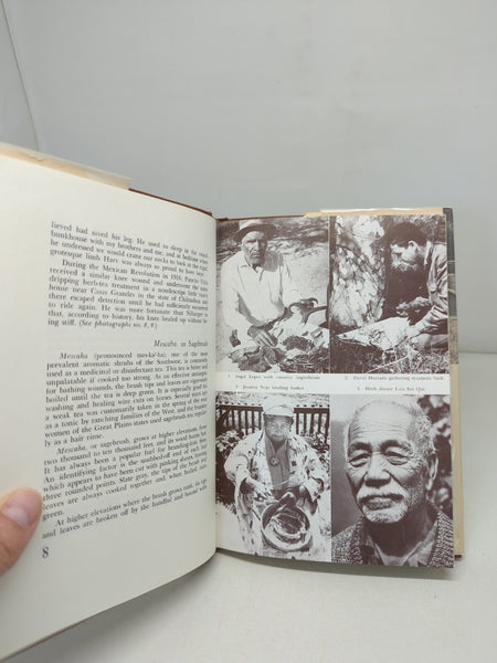 Desert Plants and People by Sam Hicks 1966 First Edition Hard Cover Dust Jacket