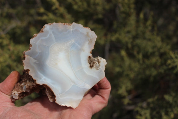 Fund Raiser - BEAUTIFUL - MINERAL - LUNA AGATE - Catron County, New Mexico -