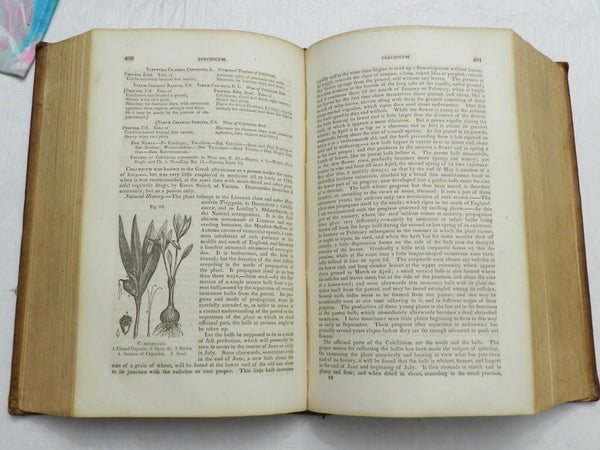 1848, A Dispensatory... Pharmacopoeias by R Christison & RE Griffith, LEATHER - VERY GOOD and Beautiful Copy Of This Rare Work