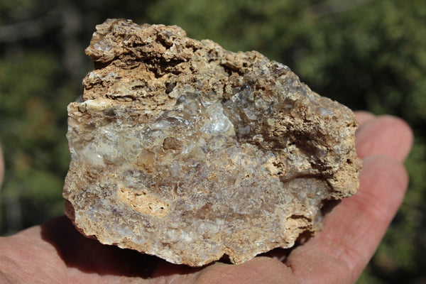 Fund Raiser - MINERAL - BEAUTIFUL - Rare Locality - ARIZONA OPAL - Stunning Specimen #8 - Keep A Piece Of Opal Near Your Bed and Experience Amazing Dreams and Healing!