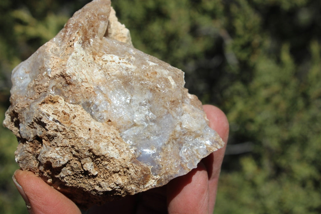 Fund Raiser - MINERAL - BEAUTIFUL - Rare Locality - ARIZONA OPAL - Stunning Specimen #7
