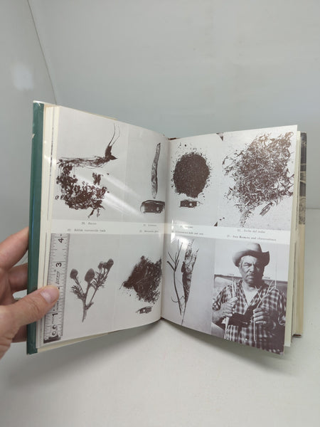 Desert Plants and People by Sam Hicks 1966 First Edition Hard Cover Dust Jacket