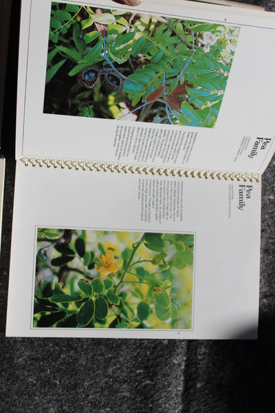 Ethnobotany Herbal Medicine Nature Health - 4 Book Lot For One Great Price #11