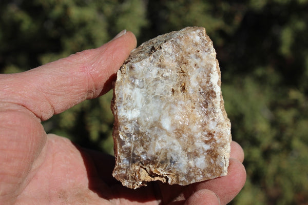 Fund Raiser - MINERAL - BEAUTIFUL - Rare Locality - ARIZONA OPAL - Stunning Specimen #10 - Keep A Piece Of Opal Near Your Bed and Experience Amazing Dreams and Healing!