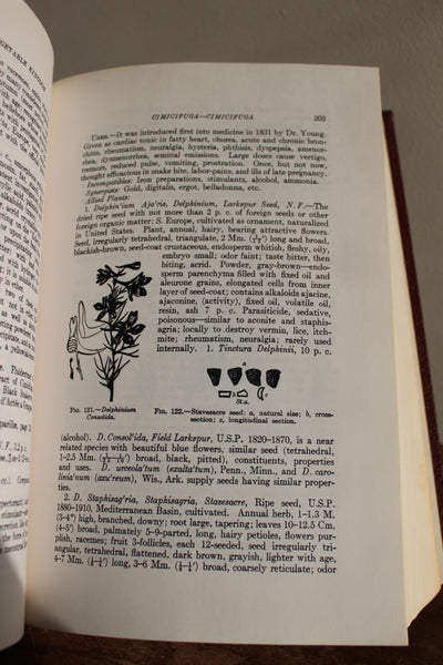 A MANUAL OF MATERIA MEDICA & PHARMACOLOGY Culbreth FINE  An IMPORTANT Work