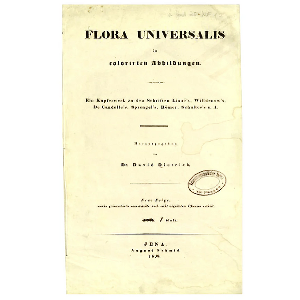 SPECIAL FUND RAISER - 1849 Superb Large Deitrich Flora Universalis Folio, TULIPS, Liliaceae - RARE