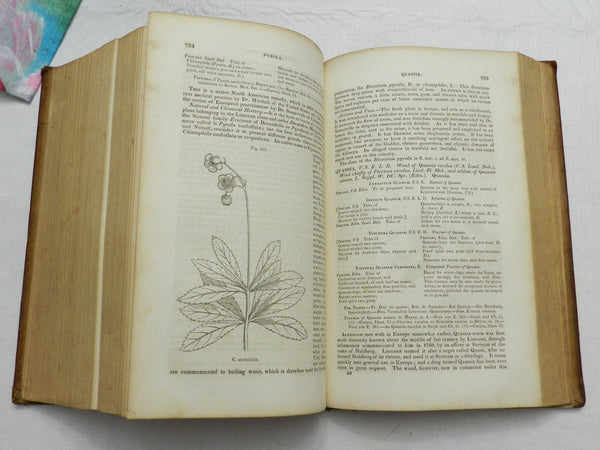 1848, A Dispensatory... Pharmacopoeias by R Christison & RE Griffith, LEATHER - VERY GOOD and Beautiful Copy Of This Rare Work