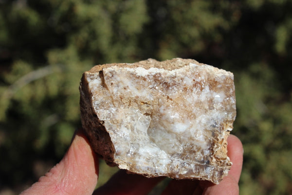 Fund Raiser - MINERAL - BEAUTIFUL - Rare Locality - ARIZONA OPAL - Stunning Specimen #10 - Keep A Piece Of Opal Near Your Bed and Experience Amazing Dreams and Healing!