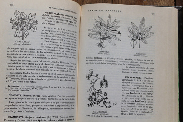 Ethnobotany Las Plantas Medicinales de Mexico Martinez RARE An Excellent Work On Medicine Plants!