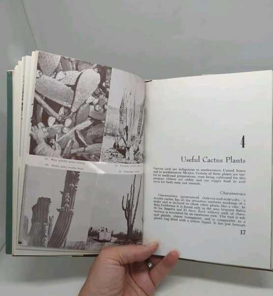 Desert Plants and People by Sam Hicks 1966 First Edition Hard Cover Dust Jacket