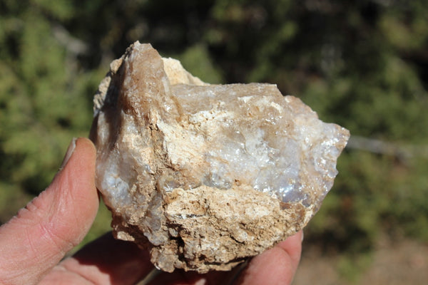 Fund Raiser - MINERAL - BEAUTIFUL - Rare Locality - ARIZONA OPAL - Stunning Specimen #7