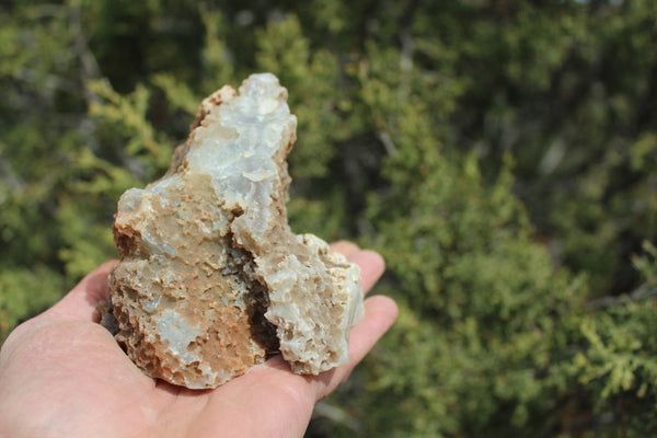 Fund Raiser - BEAUTIFUL - MINERAL - LUNA AGATE - Catron County, New Mexico -