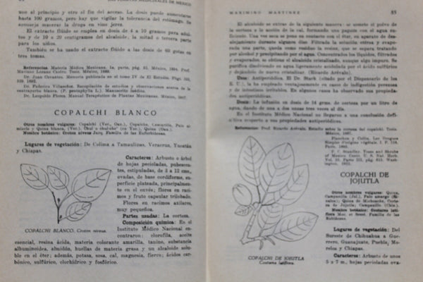 Ethnobotany Las Plantas Medicinales de Mexico Martinez RARE An Excellent Work On Medicine Plants!