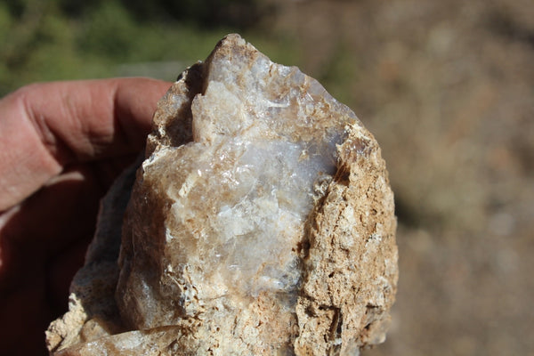Fund Raiser - MINERAL - BEAUTIFUL - Rare Locality - ARIZONA OPAL - Stunning Specimen #7