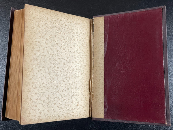 1888   Wife and Mother, Women's Health, Pregnancy, Maternity, Unique Medical Book