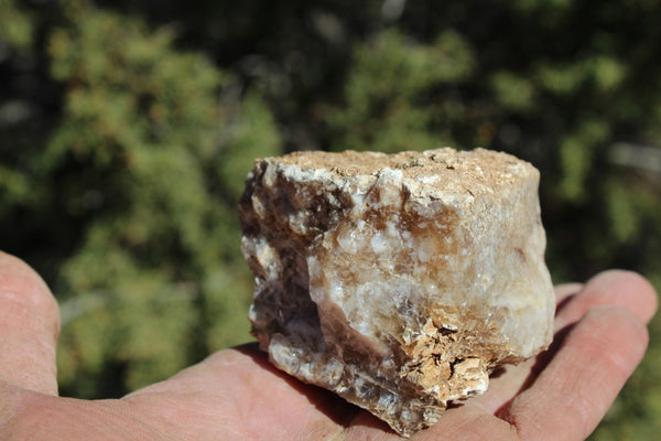 Fund Raiser - MINERAL - BEAUTIFUL - Rare Locality - ARIZONA OPAL - Stunning Specimen #10 - Keep A Piece Of Opal Near Your Bed and Experience Amazing Dreams and Healing!