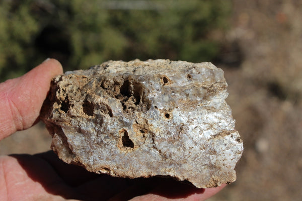 Fund Raiser - MINERAL - BEAUTIFUL - Rare Locality - ARIZONA OPAL - Stunning Specimen #8 - Keep A Piece Of Opal Near Your Bed and Experience Amazing Dreams and Healing!
