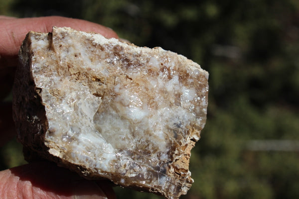 Fund Raiser - MINERAL - BEAUTIFUL - Rare Locality - ARIZONA OPAL - Stunning Specimen #10 - Keep A Piece Of Opal Near Your Bed and Experience Amazing Dreams and Healing!