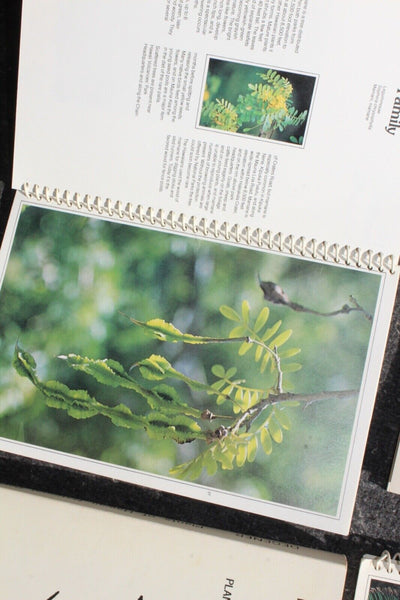 Ethnobotany Herbal Medicine Nature Health - 4 Book Lot For One Great Price #11