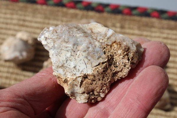 FUND RAISER - MINERAL - BEAUTIFUL - Rare - ARIZONA OPAL -Stunning Specimens LOT # 3 - 1 Pound - OPAL has Amazing Healing Properties!  Sleep with a Piece of Opal by Your Bed and Wake-up Renewed!