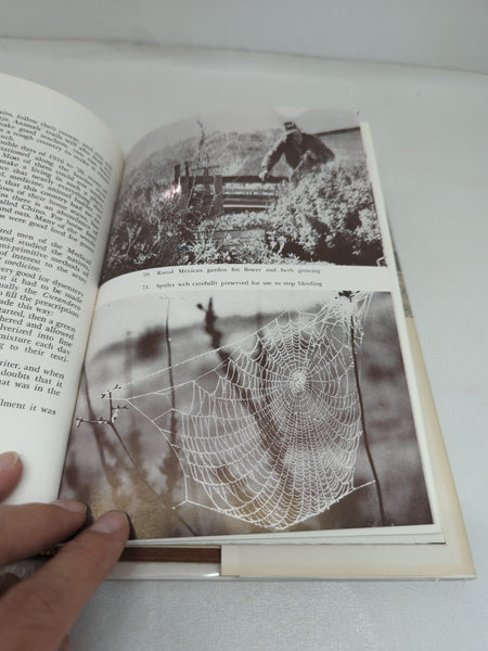 Desert Plants and People by Sam Hicks 1966 First Edition Hard Cover Dust Jacket