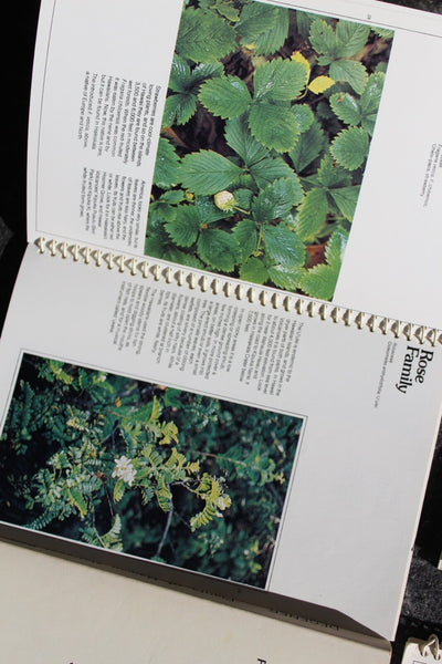Ethnobotany Herbal Medicine Nature Health - 4 Book Lot For One Great Price #11