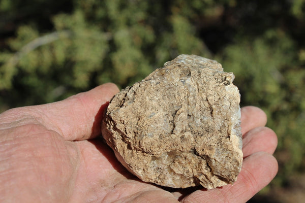 Fund Raiser - MINERAL - BEAUTIFUL - Rare Locality - ARIZONA OPAL - Stunning Specimen #10 - Keep A Piece Of Opal Near Your Bed and Experience Amazing Dreams and Healing!