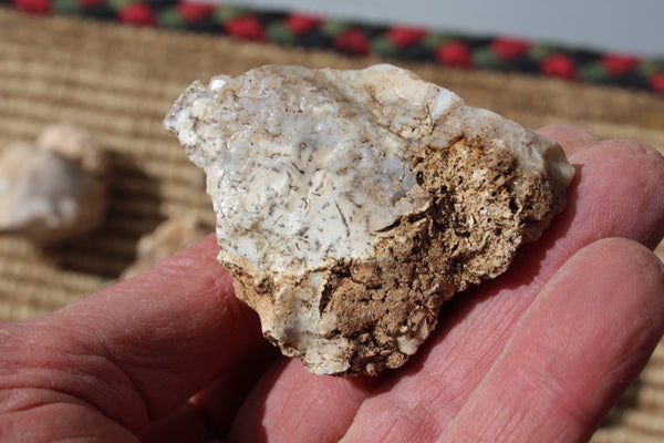 FUND RAISER - MINERAL - BEAUTIFUL - Rare - ARIZONA OPAL -Stunning Specimens LOT # 3 - 1 Pound - OPAL has Amazing Healing Properties!  Sleep with a Piece of Opal by Your Bed and Wake-up Renewed!