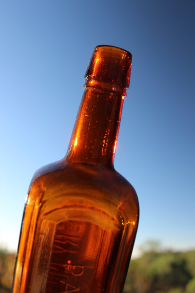 MEDICINE BOTTLE PAINE'S CELERY COMPOUND Near Mint Condition