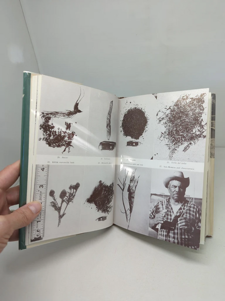 FUND RAISER - Desert Plants and People by Sam Hicks 1966 First Edition Hard Cover Dust Jacket - RARE & WONDERFUL WORK!