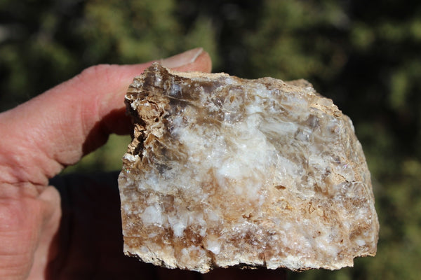 Fund Raiser - MINERAL - BEAUTIFUL - Rare Locality - ARIZONA OPAL - Stunning Specimen #10 - Keep A Piece Of Opal Near Your Bed and Experience Amazing Dreams and Healing!