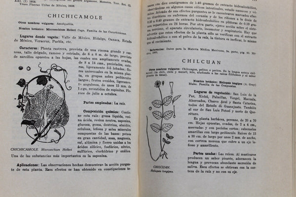 Ethnobotany Las Plantas Medicinales de Mexico Martinez RARE An Excellent Work On Medicine Plants!