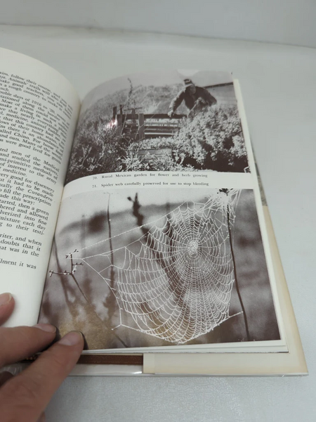 FUND RAISER - Desert Plants and People by Sam Hicks 1966 First Edition Hard Cover Dust Jacket - RARE & WONDERFUL WORK!