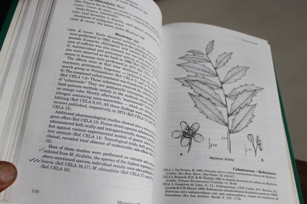 Ethnobotany MEDICINAL PLANTS OF BRASIL By More,Rizzini, Pereira -