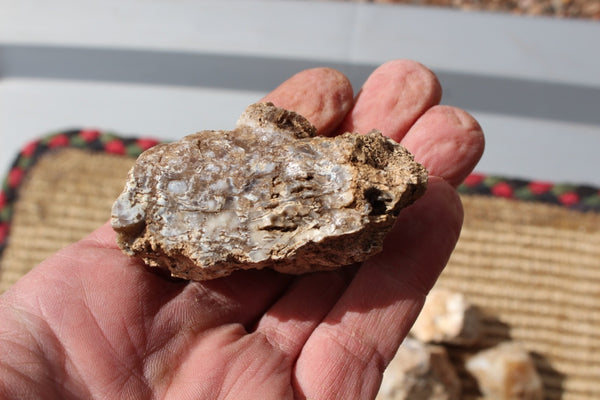 FUND RAISER - MINERAL - BEAUTIFUL - Rare - ARIZONA OPAL -Stunning Specimens LOT # 3 - 1 Pound - OPAL has Amazing Healing Properties!  Sleep with a Piece of Opal by Your Bed and Wake-up Renewed!