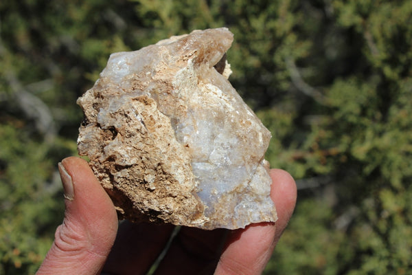 Fund Raiser - MINERAL - BEAUTIFUL - Rare Locality - ARIZONA OPAL - Stunning Specimen #7