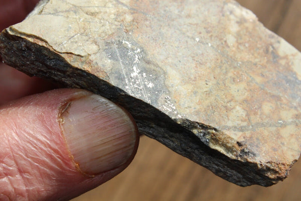 FUND RAISER - MINERAL NATIVE SILVER Very Rare Locality New Mexico 84 gram Specimen