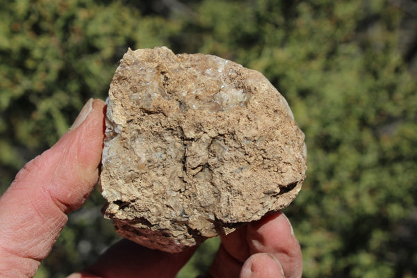 Fund Raiser - MINERAL - BEAUTIFUL - Rare Locality - ARIZONA OPAL - Stunning Specimen #10 - Keep A Piece Of Opal Near Your Bed and Experience Amazing Dreams and Healing!