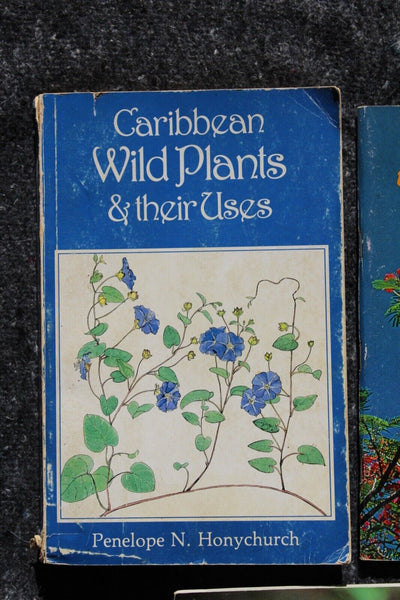 Ethnobotany Herbal Medicine Nature Health - 3 Book Lot For One Great Price #4