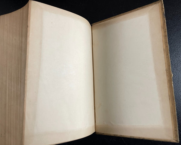 The Dispensatory of the United States of America; George B. Wood and Franklin Bache; J. B. Lippincott, Philadelphia; 1882; 14th edition; 1879 pages. BEAUTIFUL COPY!