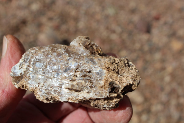 FUND RAISER - MINERAL - BEAUTIFUL - Rare - ARIZONA OPAL -Stunning Specimens LOT # 3 - 1 Pound - OPAL has Amazing Healing Properties!  Sleep with a Piece of Opal by Your Bed and Wake-up Renewed!